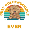 Goldendoodle Doodle Dog