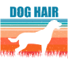 Chesapeake Bay Retriever