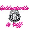Goldendoodle Doodle Hund