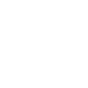 Chesapeake Bay Retriever