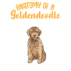 Goldendoodle Doodle Chien