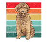 Goldendoodle Doodle Dog