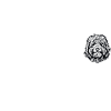 Goldendoodle Doodle Chien