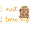 Goldendoodle Doodle Chien