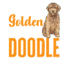 Goldendoodle Doodle Chien