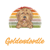 Goldendoodle Doodle Chien