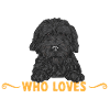 Chien Doodle Black Goldendoodle