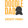 Chien Doodle Black Goldendoodle
