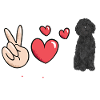 Chien Doodle Black Goldendoodle