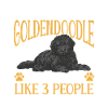 Black Goldendoodle Doodle Dog