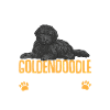 Chien Doodle Black Goldendoodle