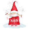 Noël Gnome Elfes Nains