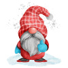 Noël Gnome Elfes Nains