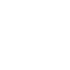 Funny Dolphin Ocean Piglet