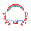 Iceland Viking State