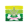 Cannabis