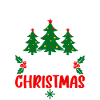 Have A Nice Christmas