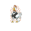 Poulet