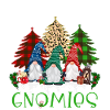 Hanging With My Gnomies