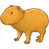 Capybara baby