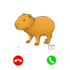 Capybara Baby Anruf