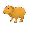 Capybara Meme