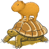 Capybara on turtle