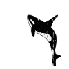 I Just Really Love Orcas, OK? Killer Whale Lover O