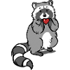 Raccoon with heart