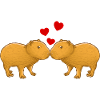 Capybara Embrasser