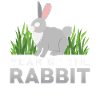 Rabbit Chinese Zodiac Sign