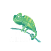 Caméléon Cadeau Caméléon