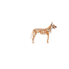 Crazy Hollandse Herder lady