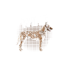 Hollandse Herder and wine