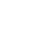 1981 Édition limitée
