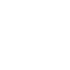 1982 Édition limitée