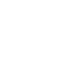 1987 Limited Edition