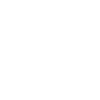1990 Limited Edition