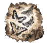 Papillons insecte cadeau