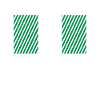 Nigeria Flag