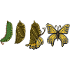 Caterpillar