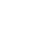 Fox Terrier