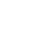 Corgi