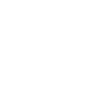Shetland Sheepdog