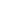 Basset Hound