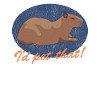 Capybara Capybaras Cadeau