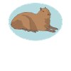 Capybara capybara | Cadeau Capybaras