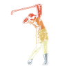 Golfer