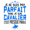 pas parfait mais cavalier