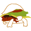 Burger toad
